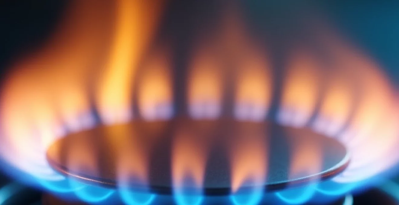 estimer-sa-facture-de-gaz-en-ligne